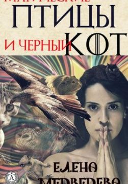 Книга Магические птицы и чёрный кот – Медведева Елена обкладинка