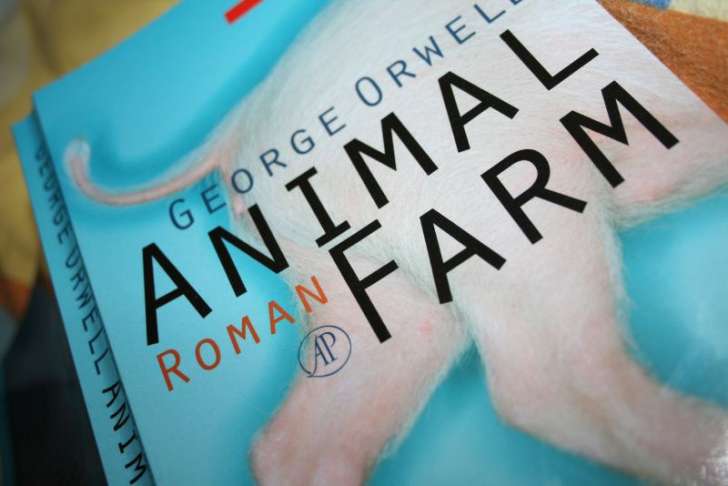 13 интересных фактов о Джордже Оруэлле