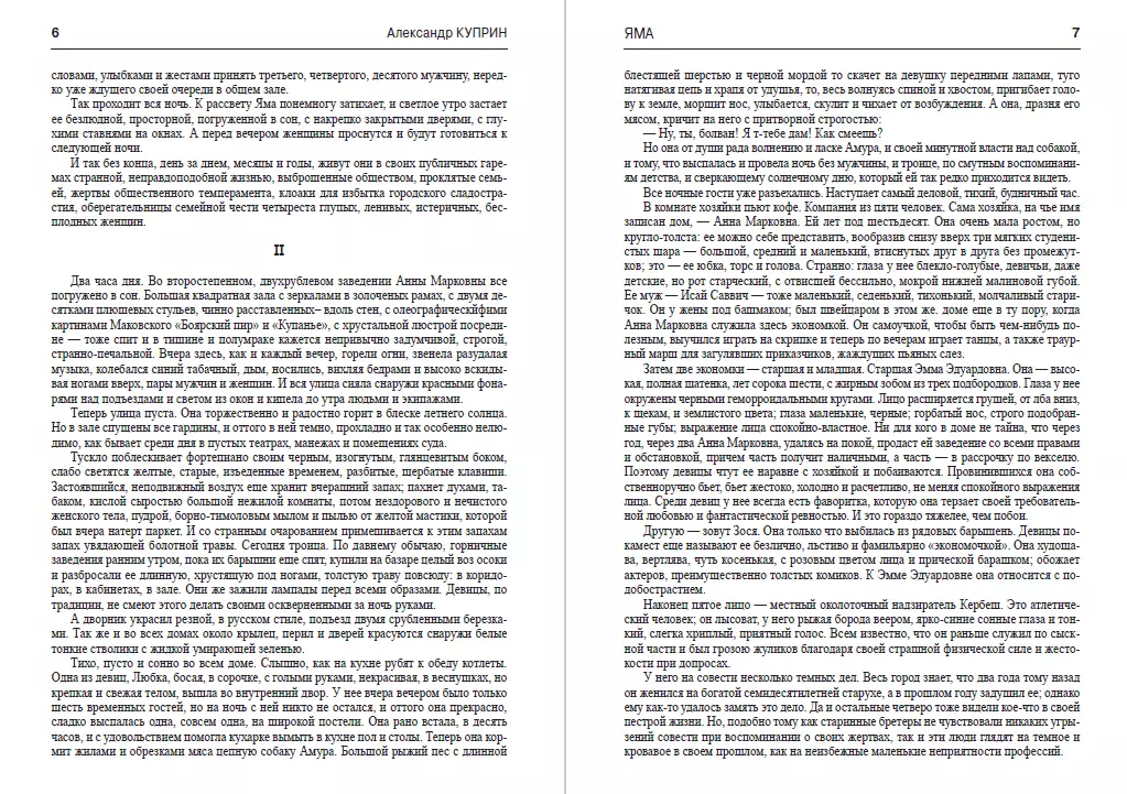 Книга Александр Куприн – Яма обкладинка 6