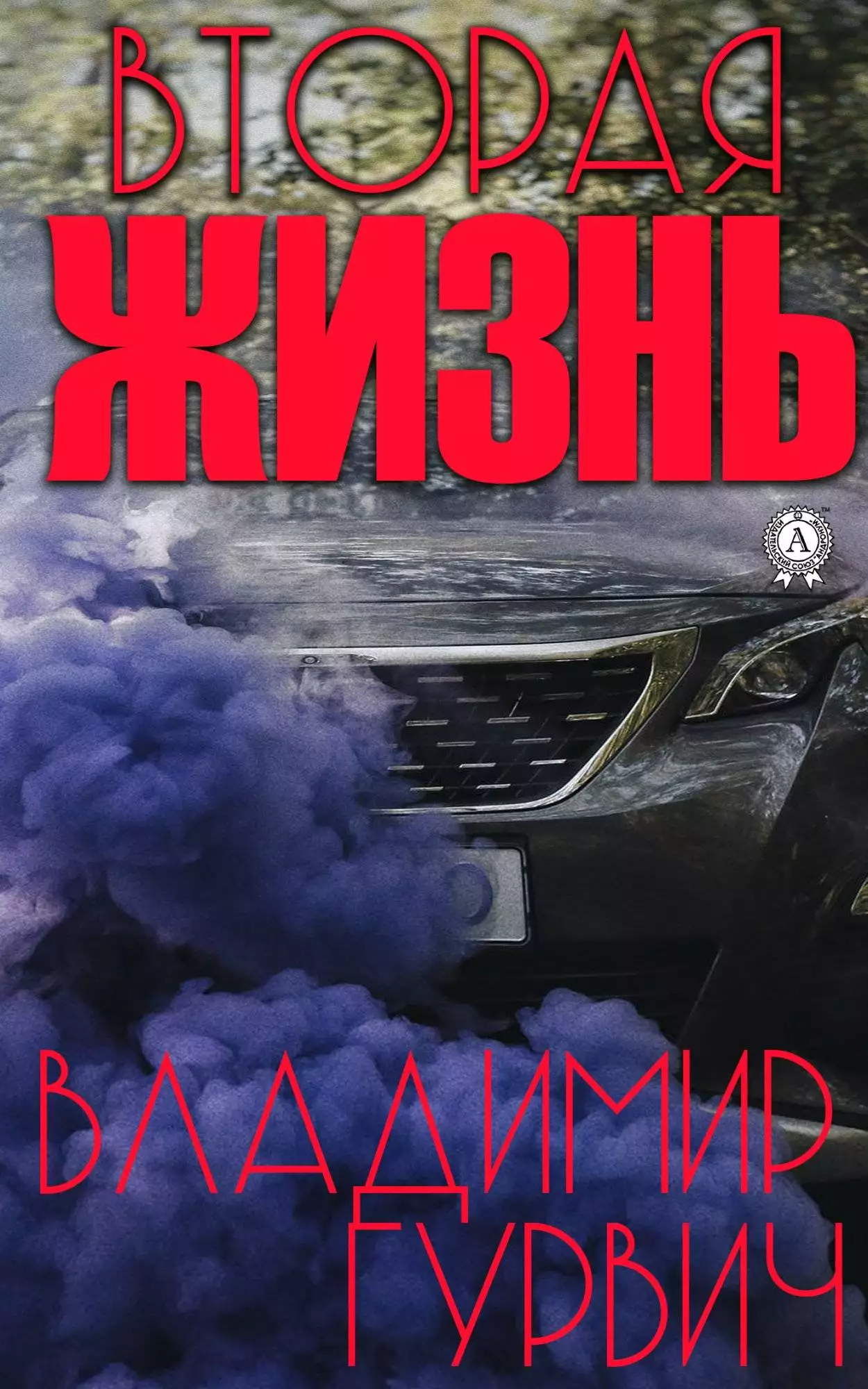 Книга Вторая жизнь Гурвич Владимир epub pdf fb2 формат обкладинка 3