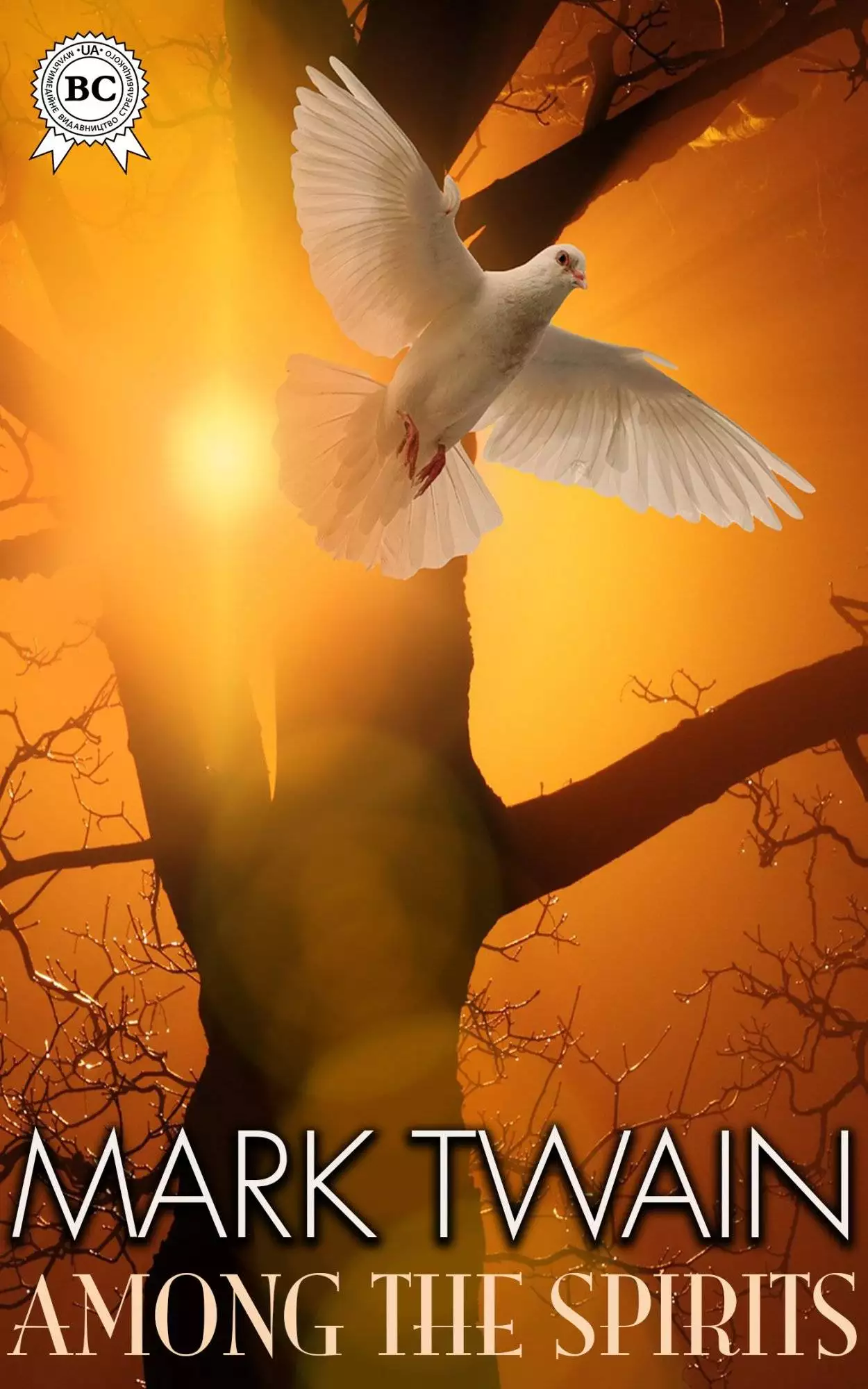 Книга Among the Spirits  Mark Twain epub pdf fb2 формат обкладинка 3