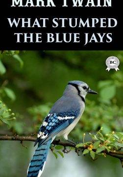 Книга What Stumped the Blue Jays  Mark Twain epub pdf fb2 формат обкладинка