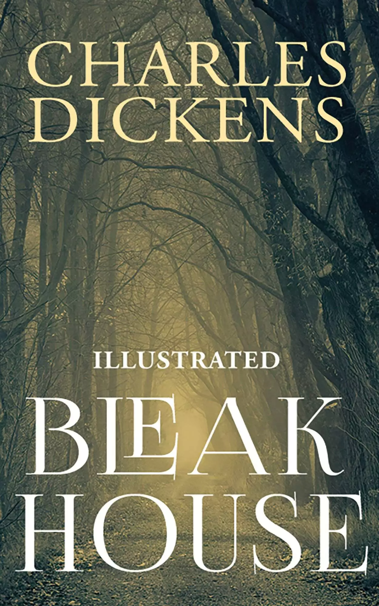 Книга Bleak House  Charles Dickens epub pdf fb2 формат обкладинка 3