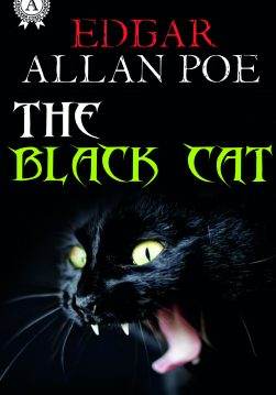 Книга The Black Cat Edgar Allan Poe epub pdf fb2 формат фото Книга The Black Cat Edgar Allan Poe epub pdf fb2 формат обкладинка