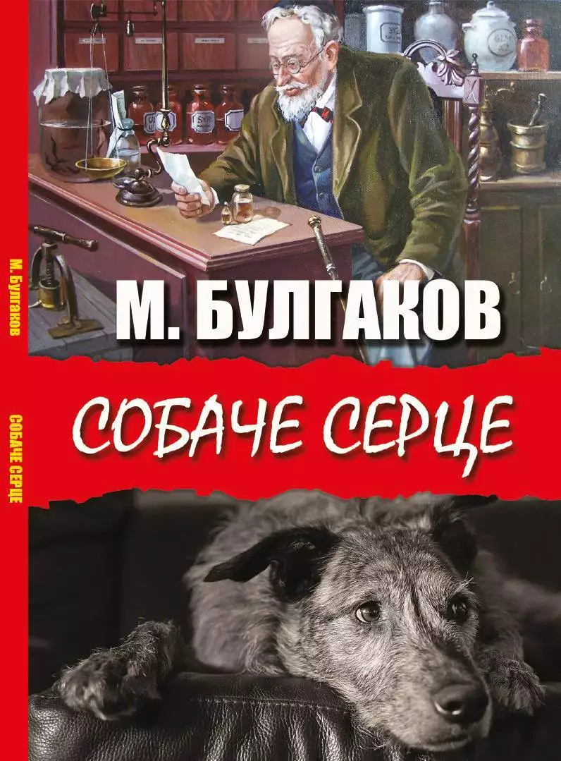 Книга Михайло Булгаков СОБАЧЕ СЕРЦЕ Книжки українською, українська література обкладинка 3