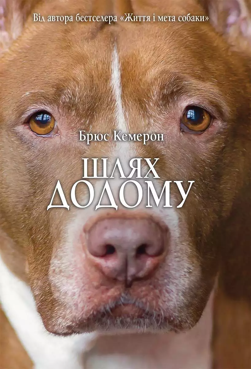 Книга Шлях додому Брюс Кемерон epub pdf fb2 формат обкладинка 3