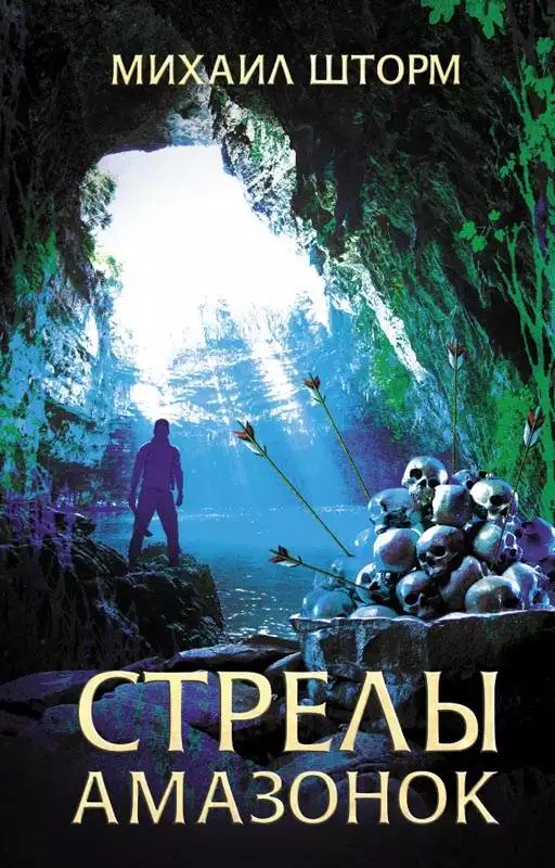 Книга Стрелы амазонок Михаил Шторм epub pdf fb2 формат обкладинка 3