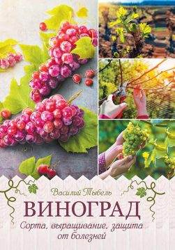 Книга Виноград. Сорта, выращивание, защита от болезней Василий Тыбель epub pdf fb2 формат обкладинка