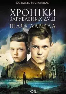 Книга Хроніки загублених душ. Шлях Давида Єлізавета Восковнюк epub pdf fb2 формат обкладинка 3