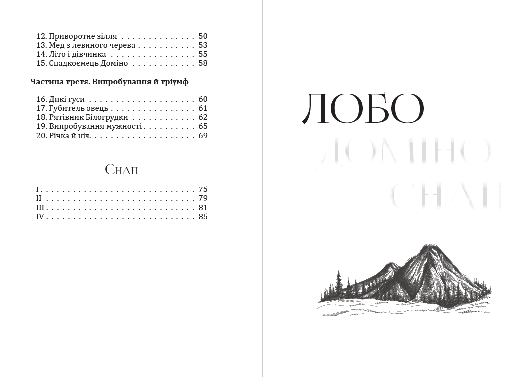 Книга Лобо. Доміно. Снап фото 5 Книга Лобо. Доміно. Снап обкладинка 5