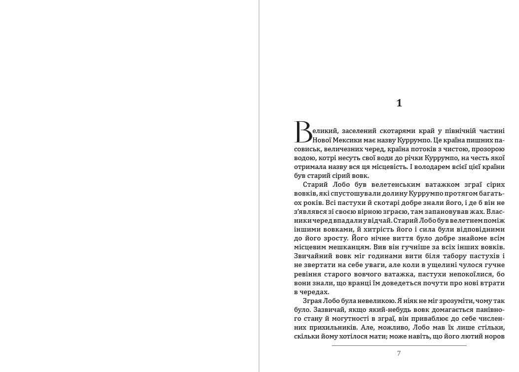 Книга Лобо. Доміно. Снап фото 6 Книга Лобо. Доміно. Снап обкладинка 6